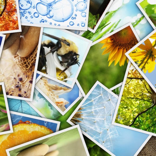 Using Stock Images for Marketing Materials: Pros and Cons